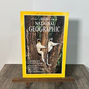 National Geographic Lemur Wall Art Yellow Border